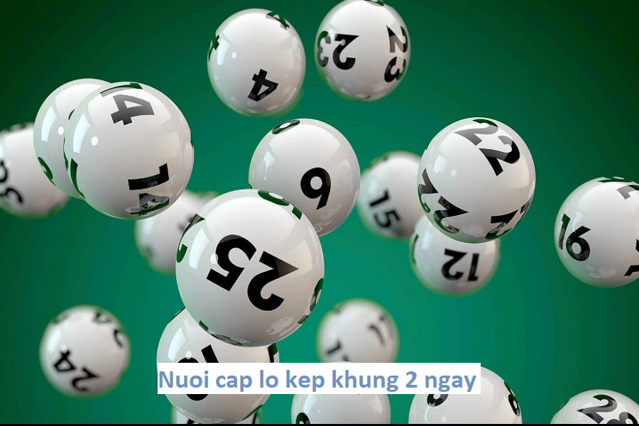 Nuoi cap lo kep khung 2 ngay